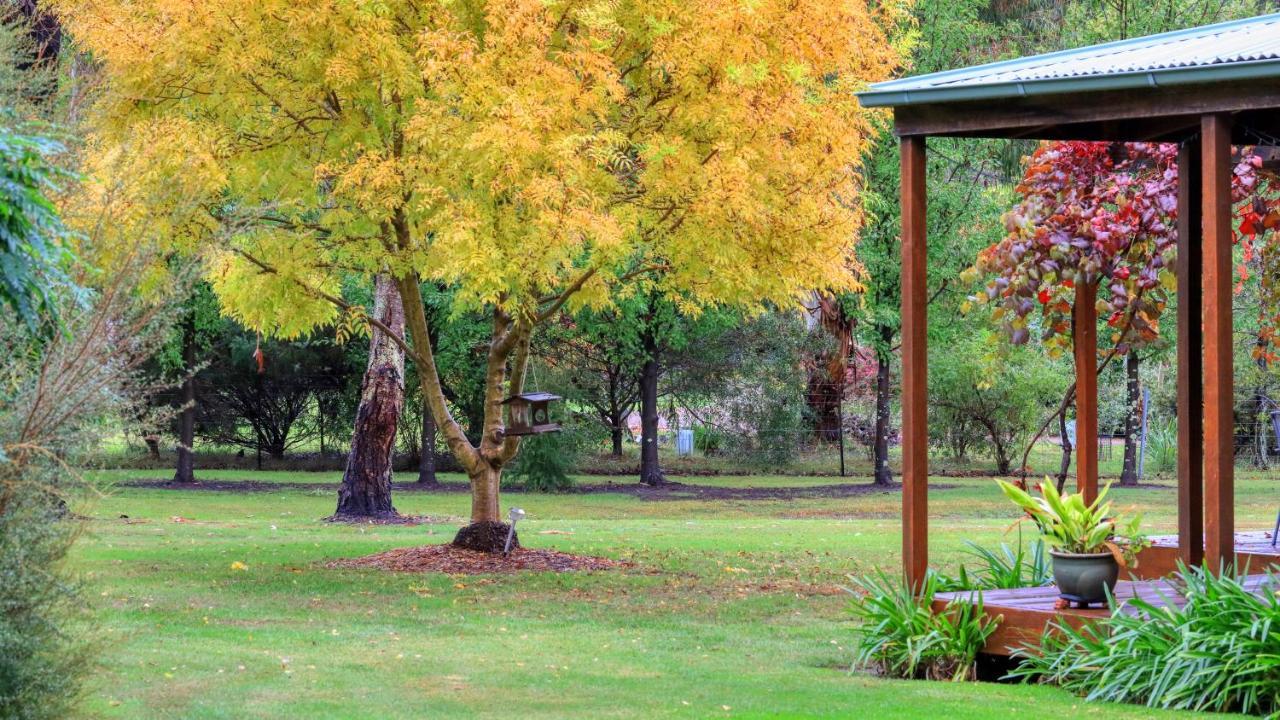 Beechworth Cedar Cottages Екстер'єр фото